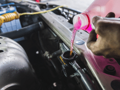 Person pouring pink coolant into a car's radiator.